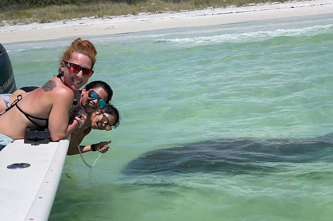 Enticement Charters Snorkel, Shelling in St. Petersburg, FL 3 Hrs