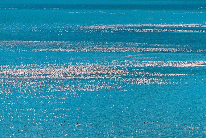 Escape to Lake Bogoria, Flamingos New Home for an Overnight Safari