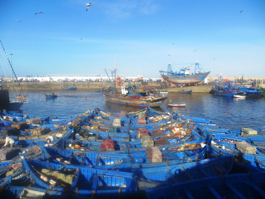 Essaouira Day Trip From Agadir