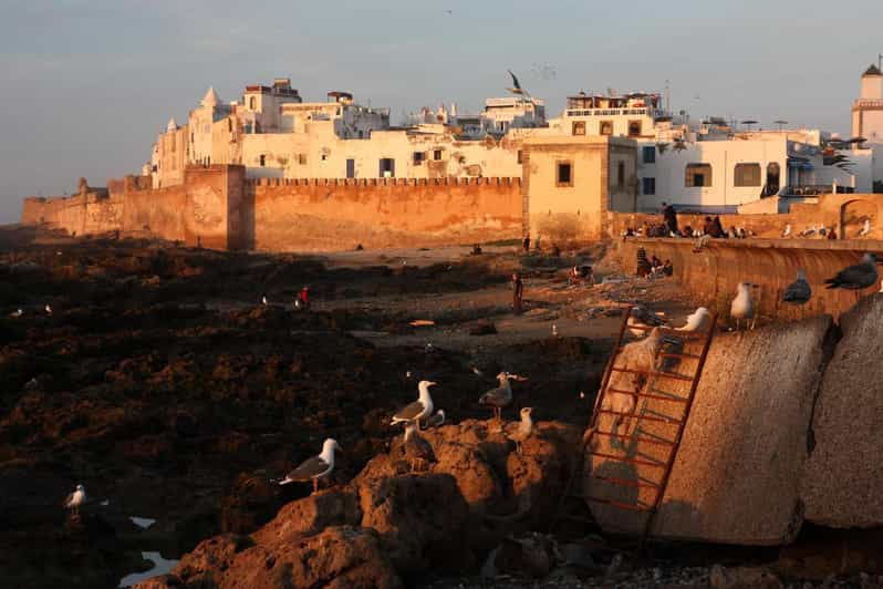 Essaouira Day Trip From Marrakech City - Trip Overview and Pricing