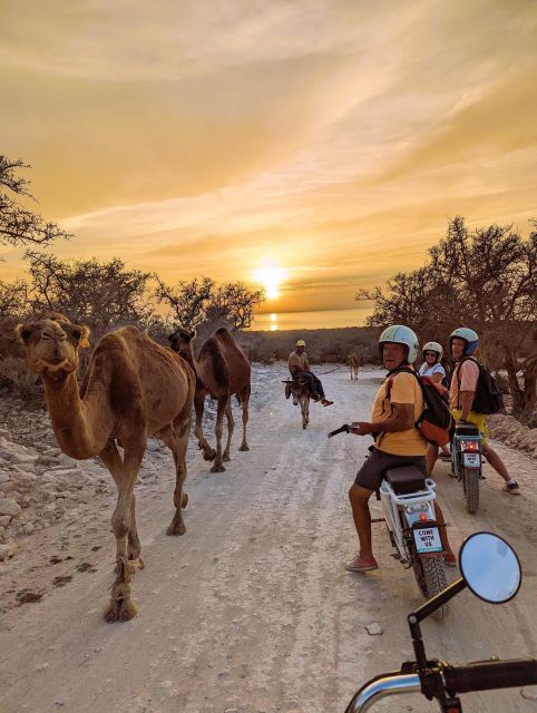 Essaouira : Half-Day E-Experience From Mountains to Sea