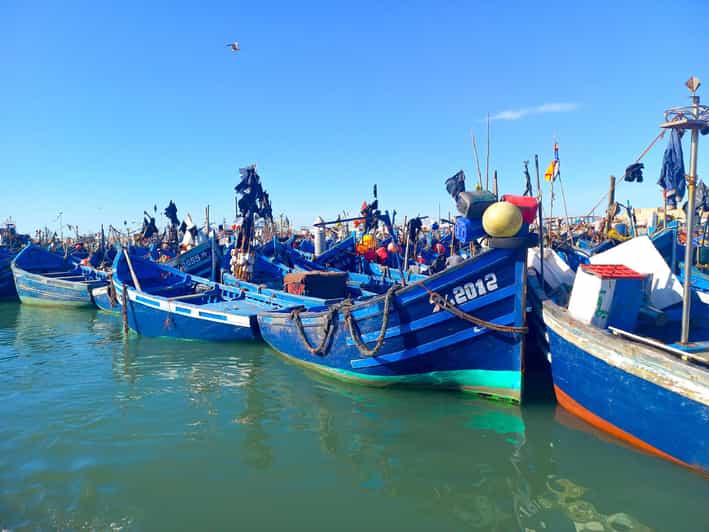 Essaouira, Private Day Trip to the Coast