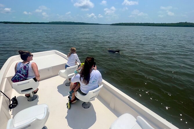 Everglades Mangrove Wilderness Boat Tour