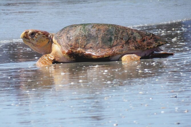 Everglades National Park Boat Tour