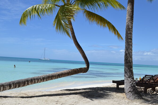 Exclusive Isla Saona Private Boat: Snorkeling & Gourmet Lunch