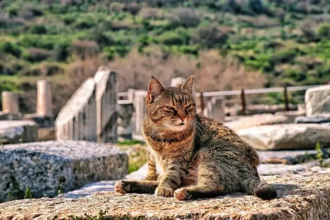 Exclusive Private Ephesus and Virgin Mary Tour From Kusadasi