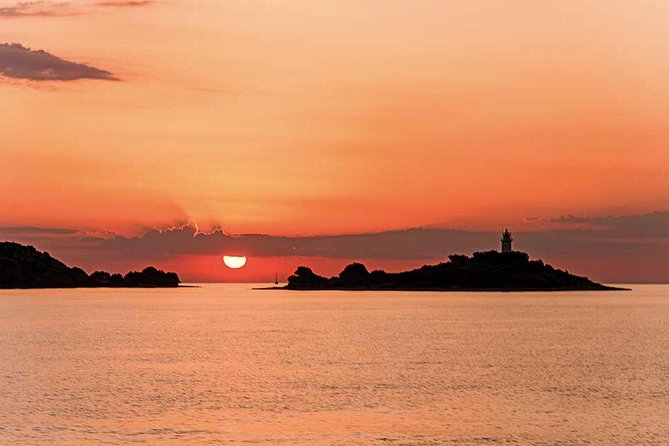 Experience a Sunrise With Dolphins