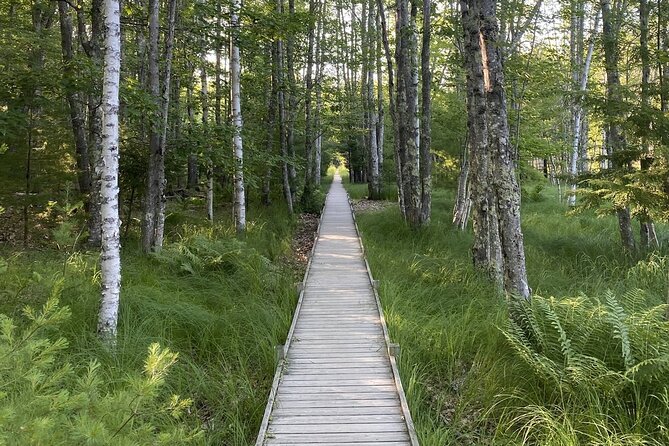 Experience Acadia: Private 3-Hr Tour With Local Guide.