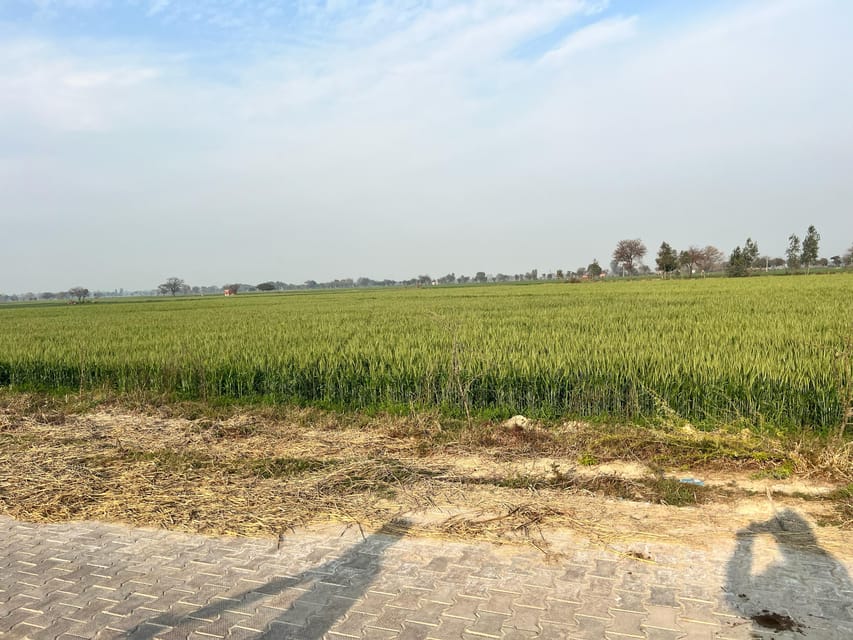Experience the Real India : Once in a Lifetime Village Tour - Tour Overview and Pricing