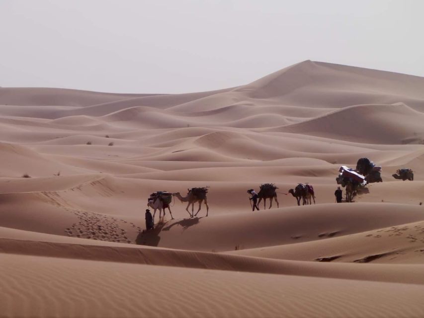 Experience the Route of Old Caravans Through the Vast Sahara