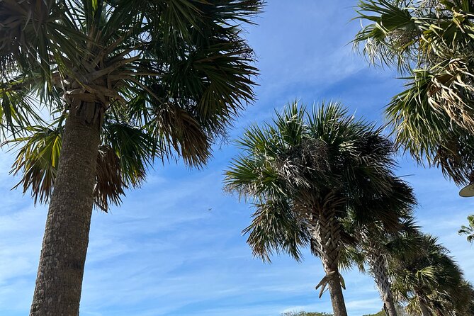Experience Wild Florida Nature up Close on Electric Trike (2 Hrs)