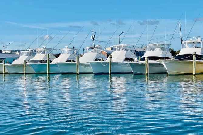 Exploration of Majestic Crystal Coast - Delectable Culinary Delights
