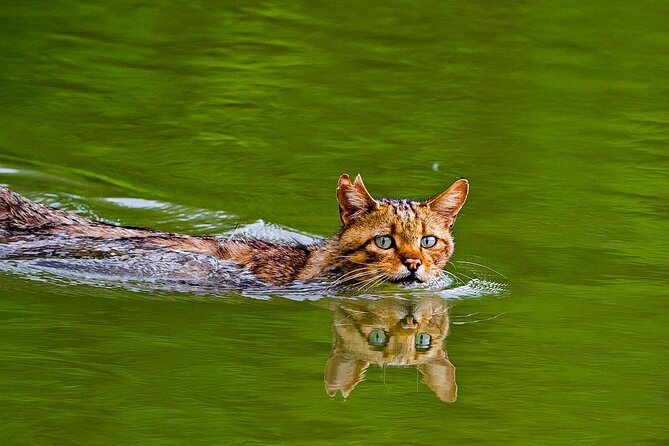 Explore Danube Delta and Black See in 2 Day Private Tour From Bucharest - Encounter Black Seas Coastal Delights