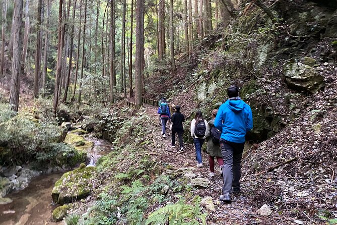 Explore Nature in Yoshino With E-Bike Tour - Tour Highlights