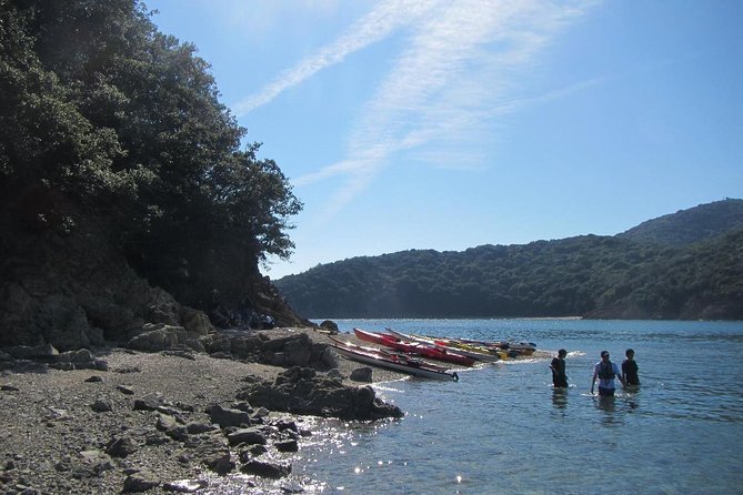 Explore the Nature That Inspired Ghibli Movies by Kayak (Half Day)