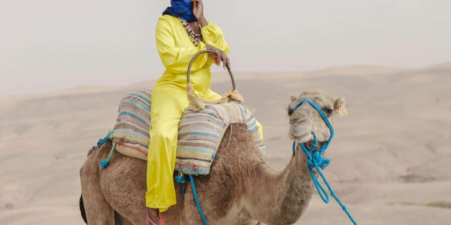 Explore the Three Valleys of the High Atlas From Marrakech