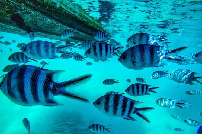 Exploring the Magnificent East of Mauritius: Full-Day Incl Blue Bay Marine Park