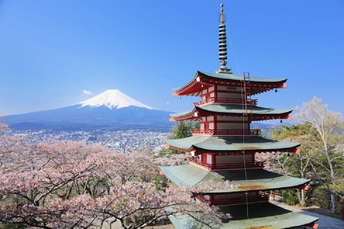 Feel Mt Fuji and Sake Tasting Private Tour From in Shizuoka