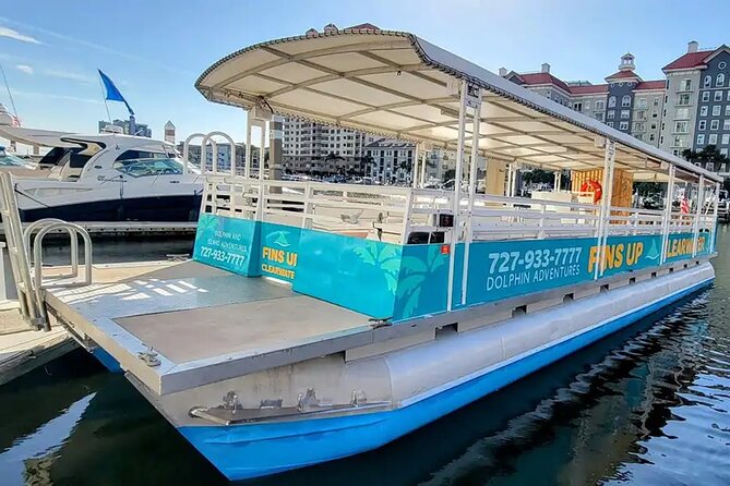 Fins Up - Dolphin & Island Sandbar Adventure in Clearwater Beach - Overview and Details