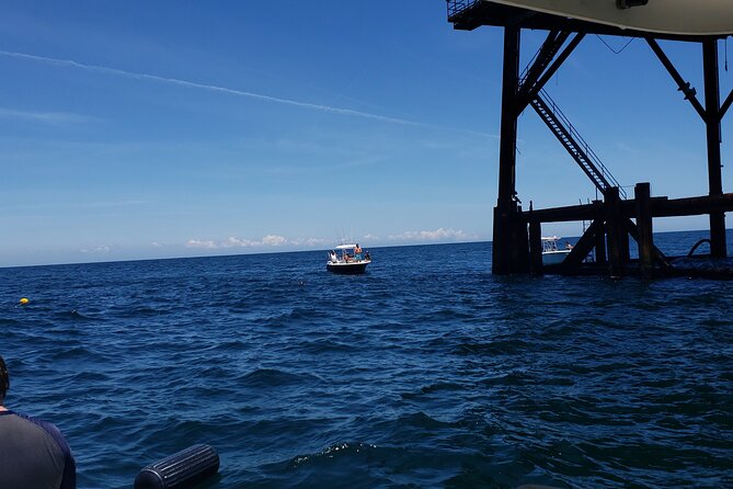 Fishing Charter in Virginia Beach Review