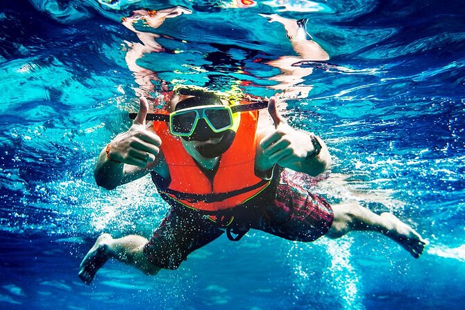 Flippers Adventures 2 Stop Snorkeling and Dolphin Cruise