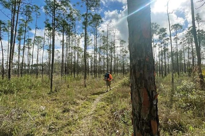 Florida Backcountry Overnight Camping Adventure Review
