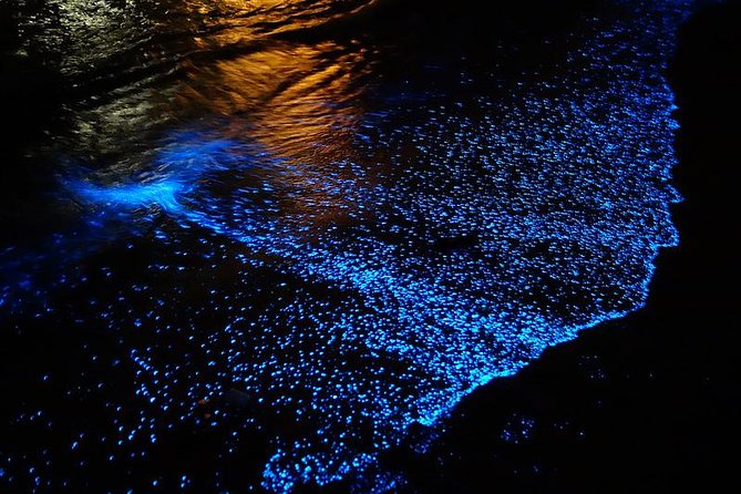 Florida Bioluminescence Kayaking Tour | Haulover Canal (Titusville)