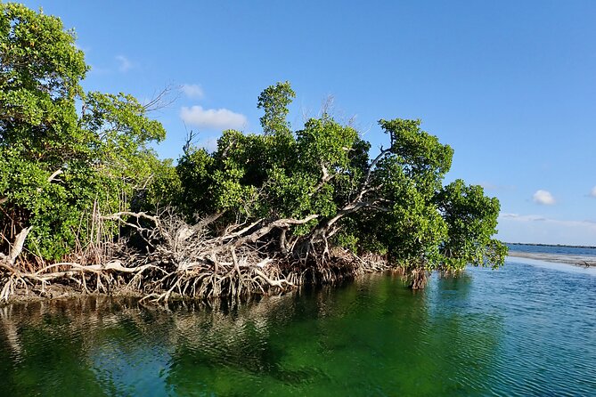 Florida Keys Backcountry Eco Tour From Big Pine Key