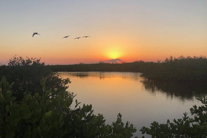 Florida Sunset and Bioluminescence Package - Inclusions and Amenities