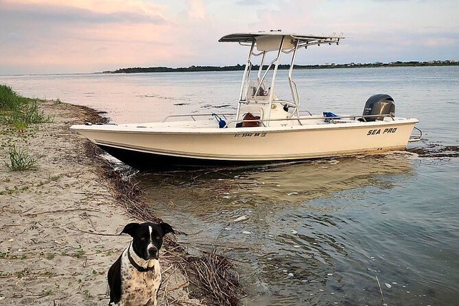 Folly OBX Filming Locations and Pogue Life Boat Tour W/ Dolphins - Exploring the Scenic Beauty of Folly Beach