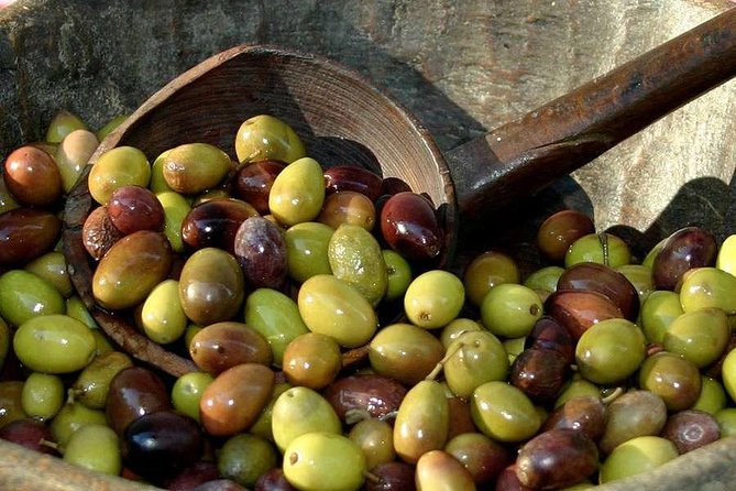 Food Tour Around Cinque Terre: From Focaccia to Pesto Ice-Cream and Wines - Indulging in Local Wine Tasting