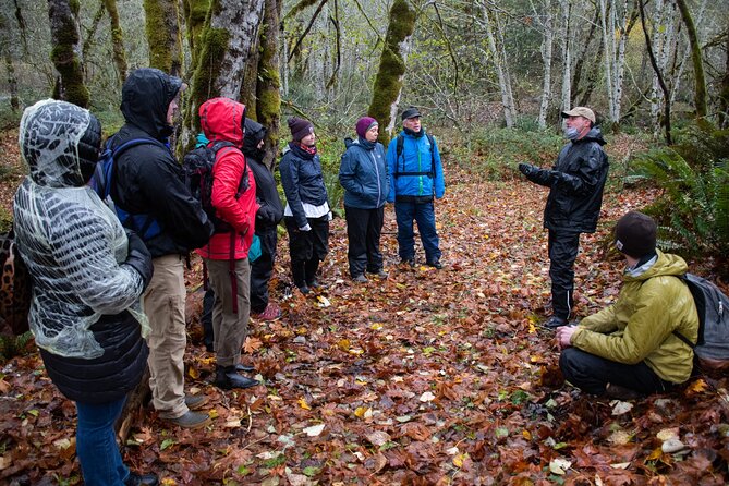 Foraging Tour of Edible Plants Review