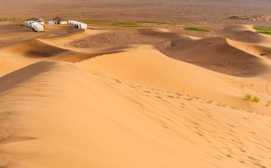 From Agadir or Taghazout: 2-Day Sahara Desert Tour to Zagora - Tour Overview