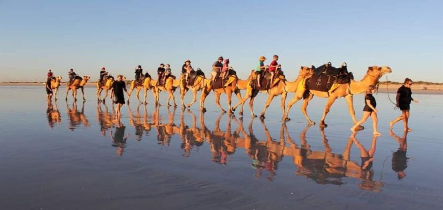 From Agadir or Taghazout : Camel Ride at the Sunset - Experience Highlights