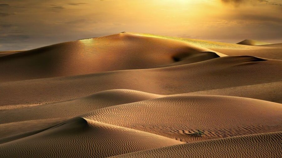 From Agadir/Taghazout: Sahara Sand Dunes With Transfer