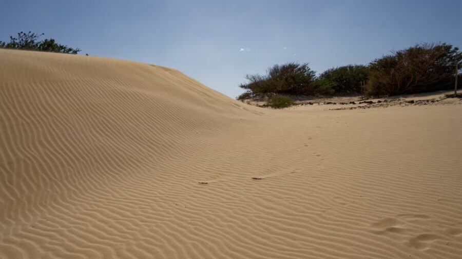 From Agadir/Taghazout: Sahara Sand Dunes With Transfer