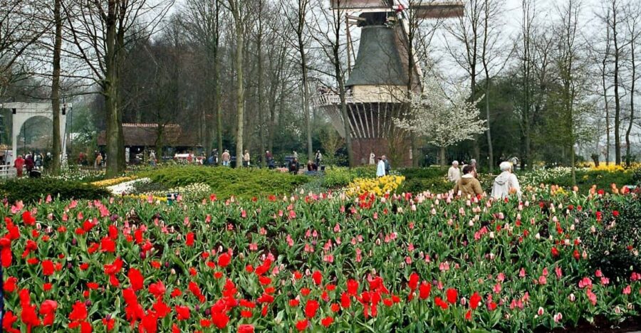 From Amsterdam: Private Day Trip to Keukenhof & De Tulperij - Overview of the Day Trip