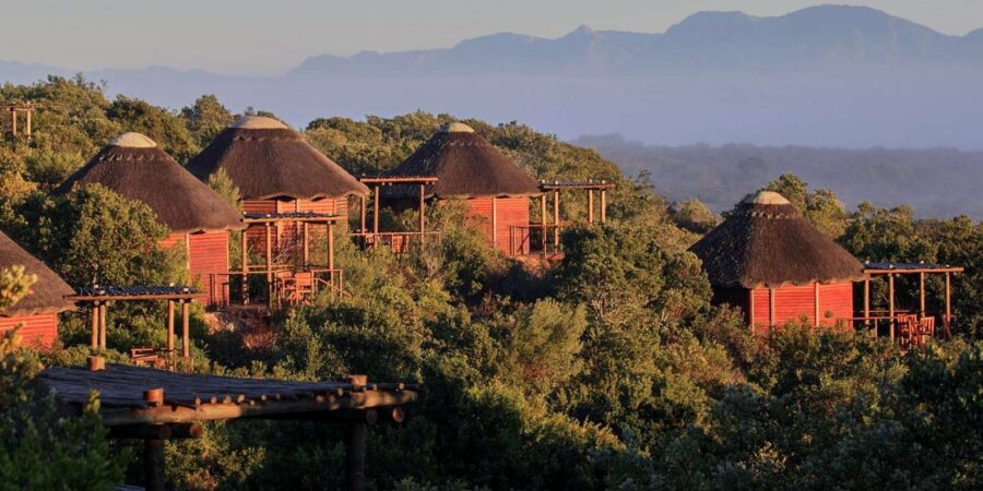 From Cape Town: 3-Day Garden Route Safari and Coastal Tour - Tour Overview and Pricing