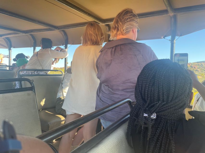 From Cape Town: Aquila Game Reserve & Game Drive