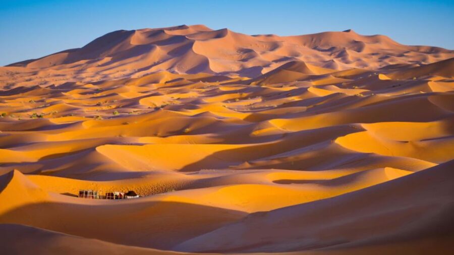 From Casablanca: 8 Days Chefchaouen, Fes & Desert Adventure
