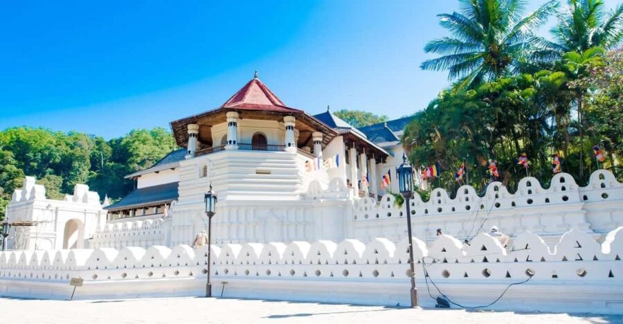 From Colombo : Day Trip to Kandy/ Pinnwala/ Royal Gardens