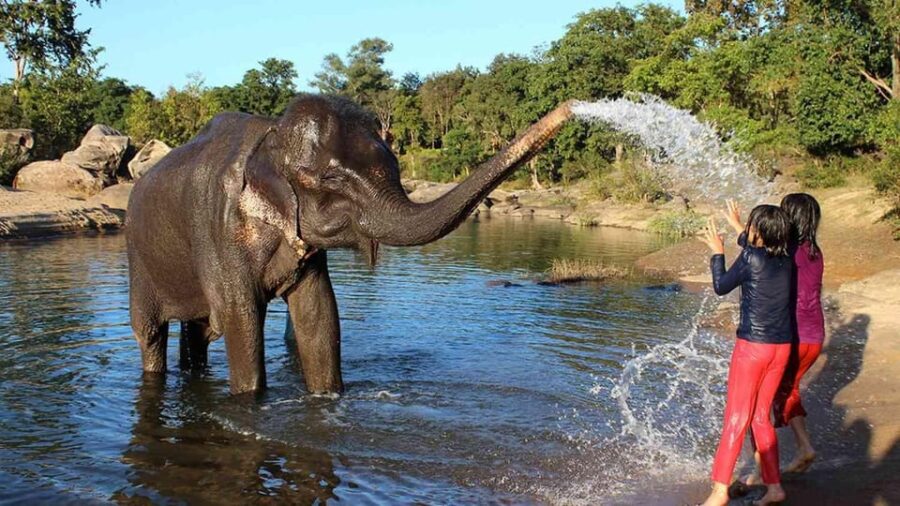 From Delhi: Taj Mahal Tour With Elephant Conservation Centre