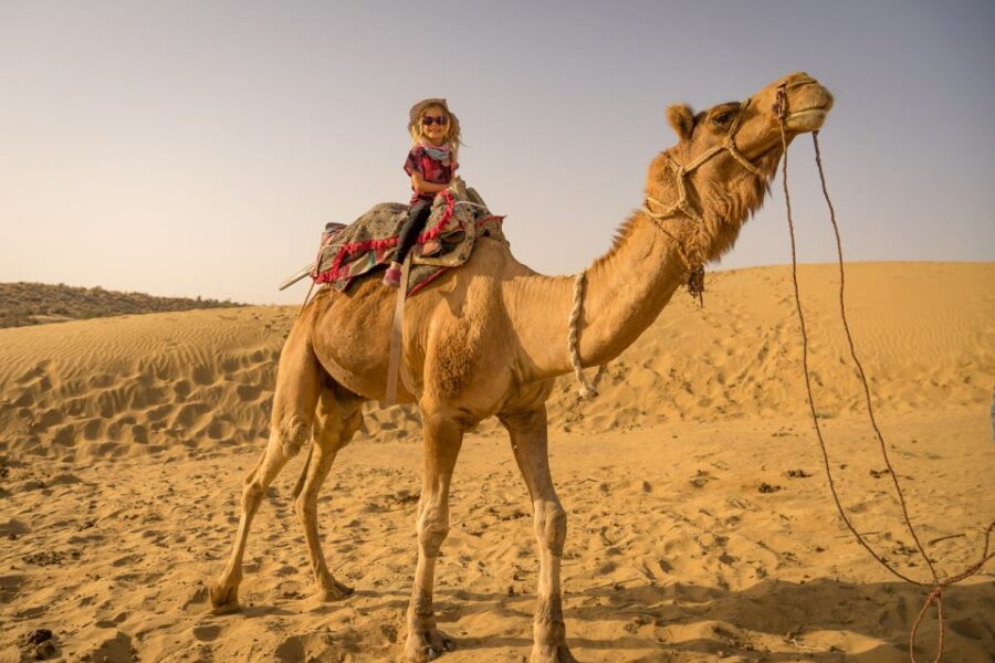From EL Gouna: Quad Safari, Bedouin Village, & Camel Ride