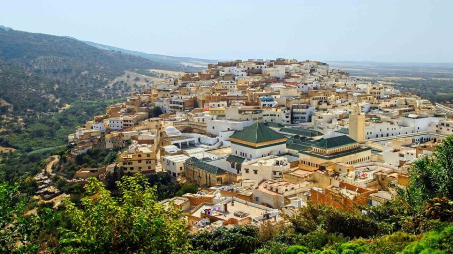From Fes: Volubilis and Meknes Day Trip