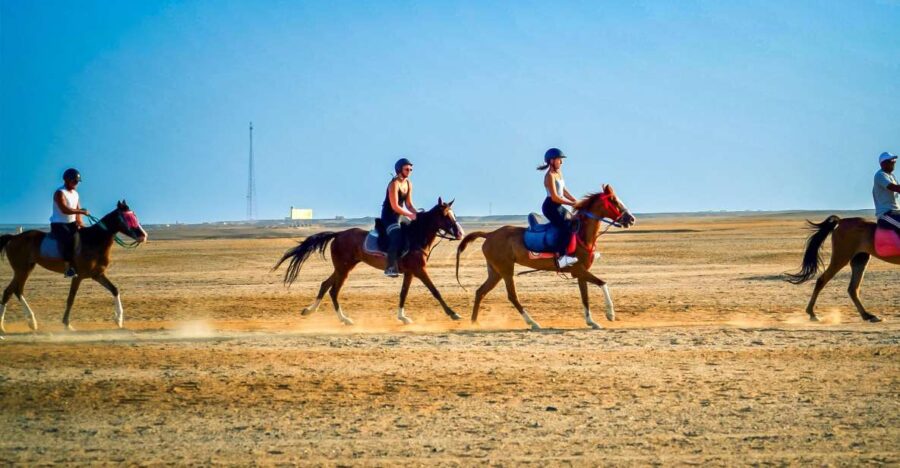 From Hurghada: Red Sea Sunrise and Desert Horseback Riding