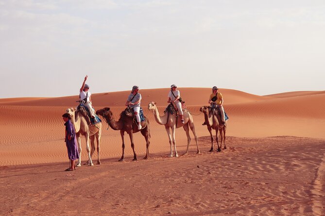 From Marrakech : 2 Day Stay in Merzouga With Food and Camel Trek - Overview of the Experience
