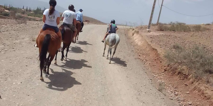 From Marrakech: Agafay Desert, Atlas Mountains by Horseback