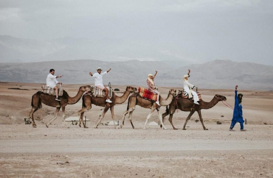 From Marrakech: Agafay Desert Sunset Camel Ride - Journey From Marrakech to Agafay
