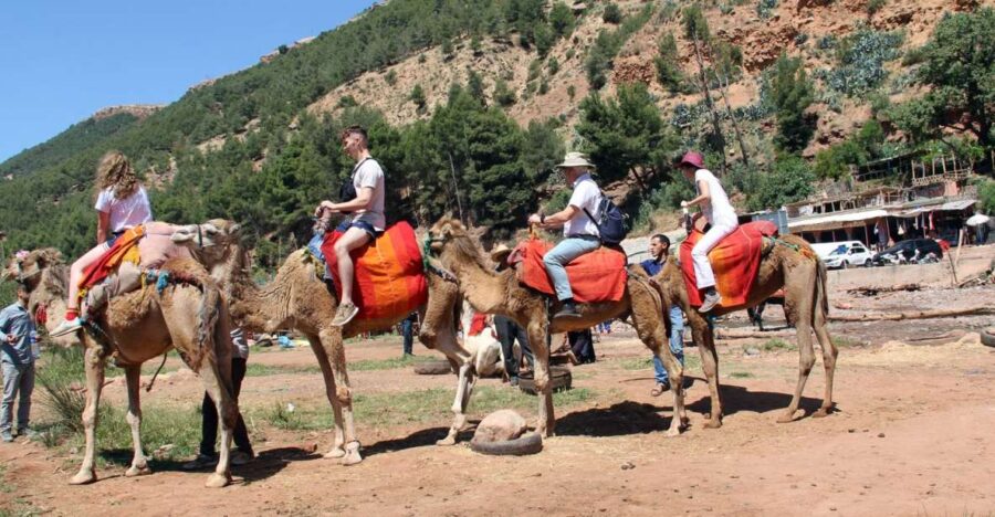 From Marrakech : Atlas Mountain, Berber Villages, Day Trip
