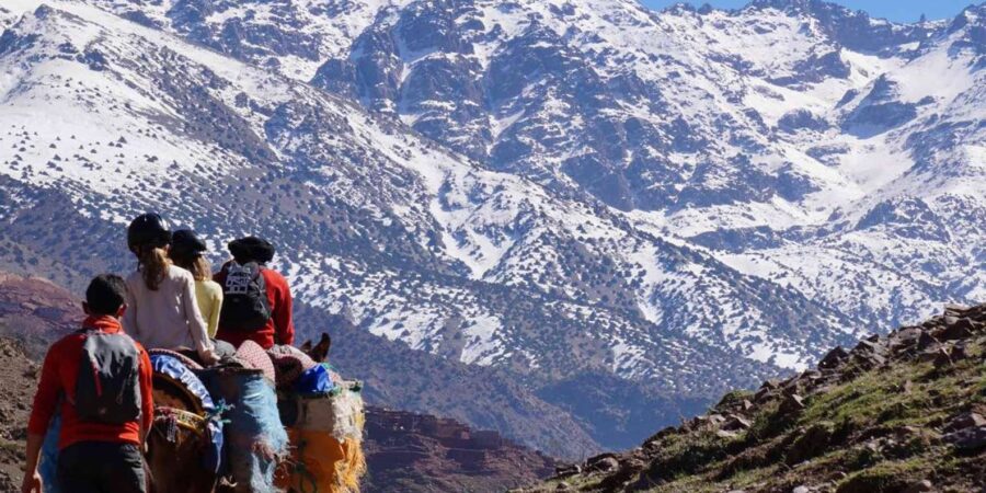 From Marrakech: Atlas Mountains and Agafay Desert Day Trip